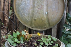 Neue Nutzung_Foto von Ingrid Becker