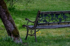 An der Gartenbank_Foto von Anita Haucap
