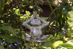 Yogafrosch_Foto von Sigrid Kasburg