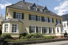 gelb-und-grün