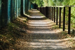 Schattenweg