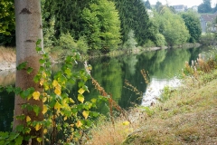 an der Wupper_Foto von Helga Riehl