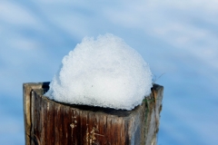 Schneehäubchen_Foto von Bärbel Liß