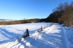 Weitblick