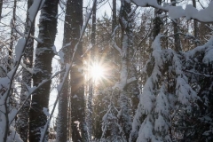 Wintertraum_Foto von Anita Haucap