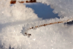 Winterzauber1_Foto von Sigrid Kasburg