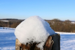 Zaunpfahl