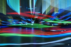 IE-Raupe-019