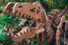 HR-Odonien-7141524