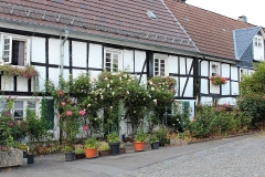 IMG_2714S