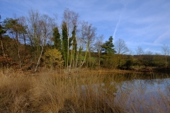 AH-Natur-pur