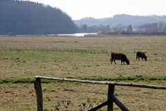 BL-Fernblick