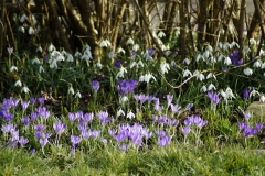 IE-Frühling-006