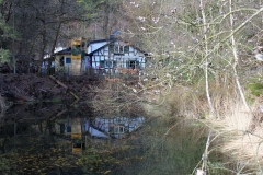 SK-IMG_3646