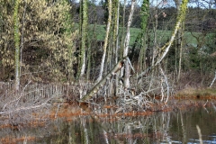SK-IMG_3652