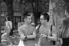 Freunde-UD