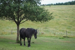 HR-8022760