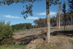 HR-9145387