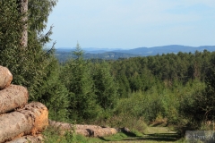 Landschaft