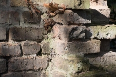 Licht-und-Schatten