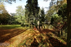 UD-Licht-und-Schatten