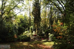 UD-Waldfriedhof
