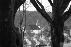 UD-Blick-durch-Bäume
