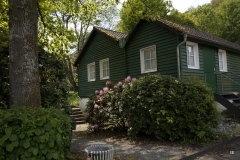 DSC1539