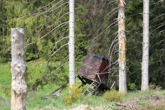 IMG_5119b
