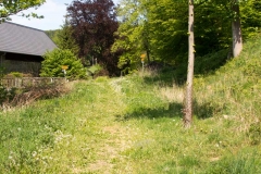 Trampelpfad