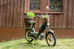 gute-Idee