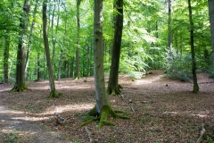 schöne-Lichtstimmung