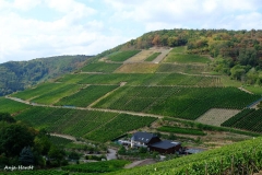 Anja-Weinfelder-u.-Wege