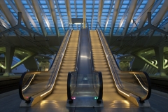jLiège-Bh-AHaucap