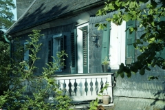 DSC1781-Kopie