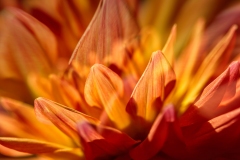 2-Defocus-Gaby