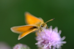 3.Defocus-Anja