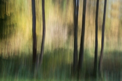 4-Defocus-Gaby