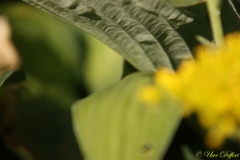 Defocus1-6-UD