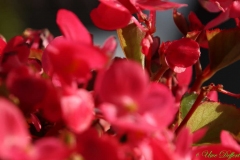 Defocus2-7-UD