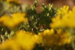 Defocus3-8-UD