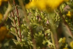 Defocus5-10-UD