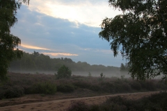 DunstSK