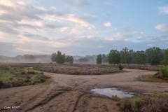 Heide-gg-3