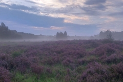 Morgendunst-SK