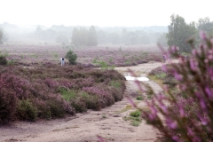 P8150156