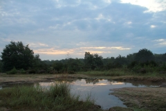 SpiegelungSK