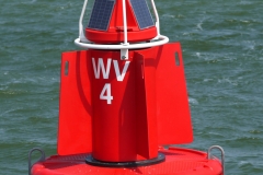 BLP1050489