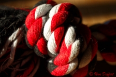 Knoten