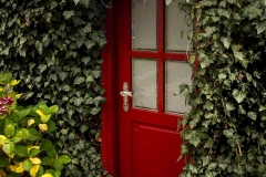 reddoor-ahcap-2
